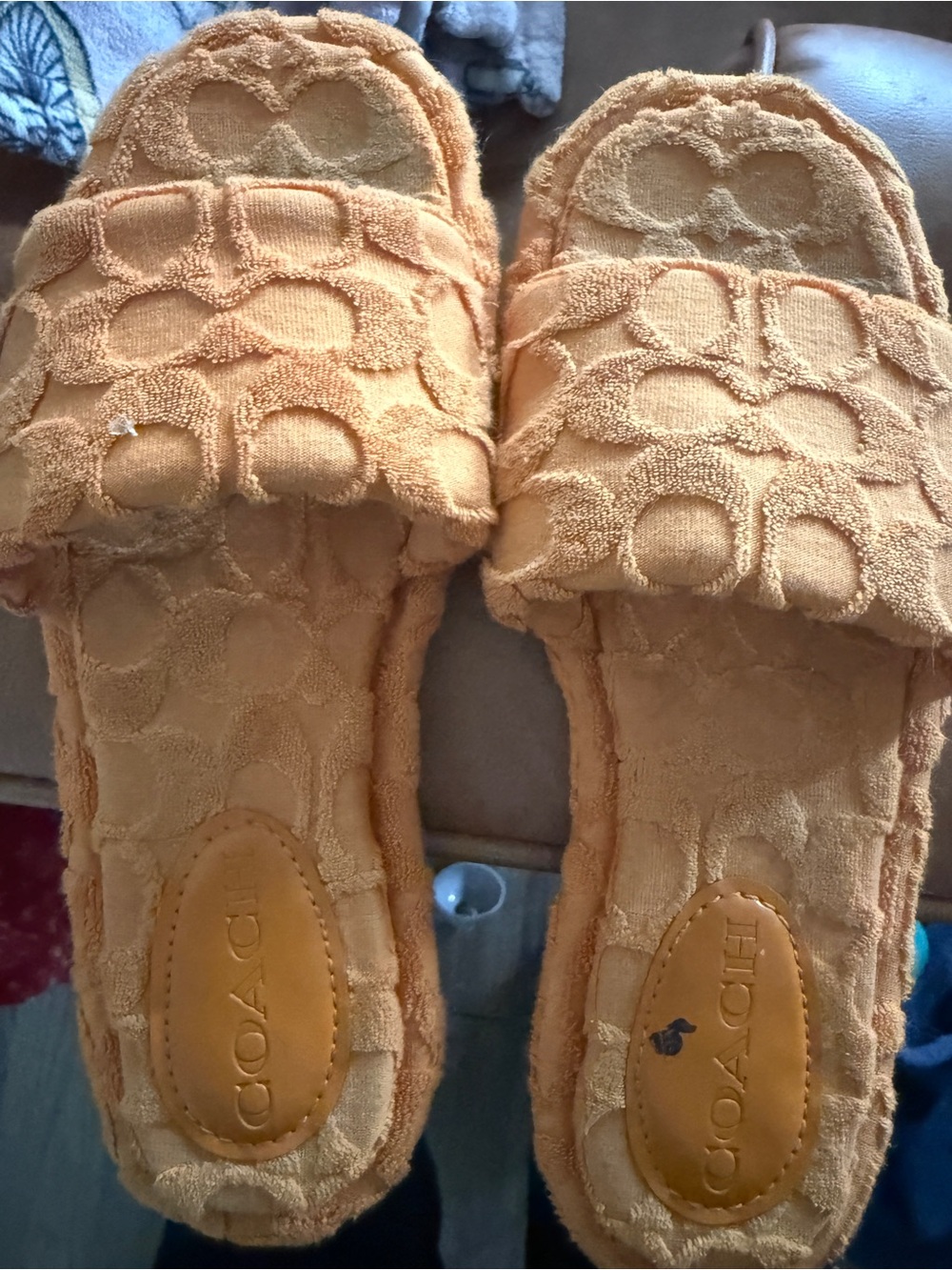 COACH Terry Slide Sandals in Burnt Orange